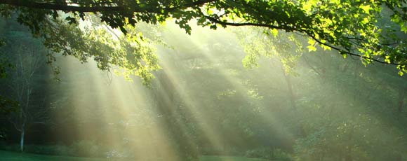ostéopathe nantes méditation